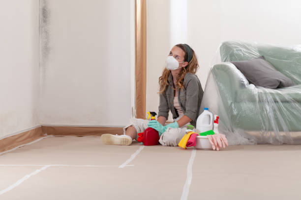 Reliable Mold Cleanup contractor in Lynnfield, MA by WQB Mold Removal